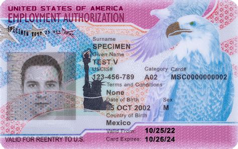 work permit before green card|Work in the U.S. with a work permit (EAD) .